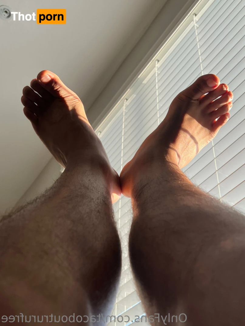 Tacoboutruru Free 15722609