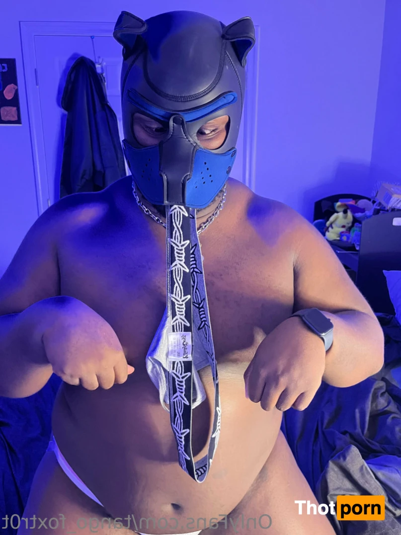 Tango Foxtrot 15709397