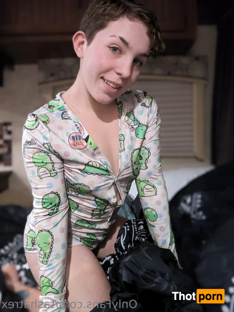 Tasha The T-Rex 15705620