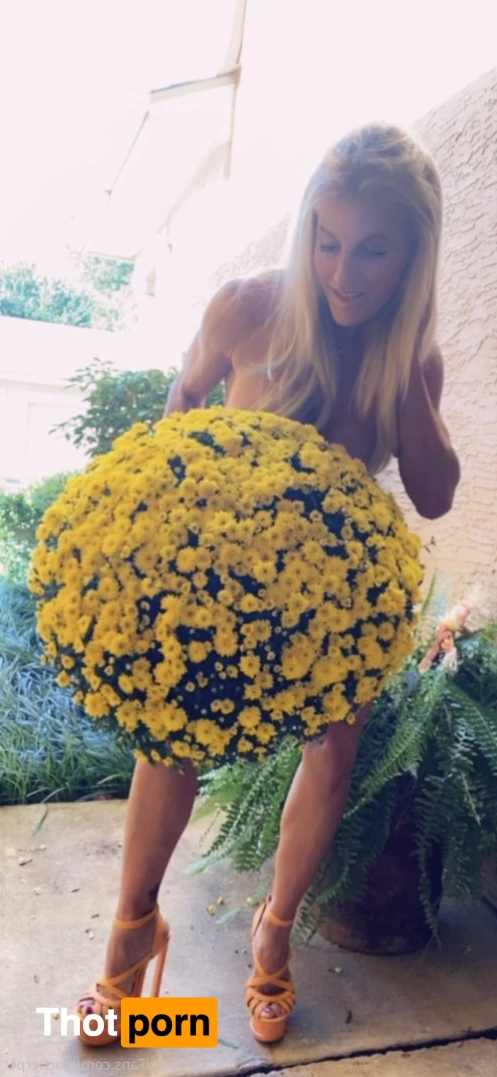 Teacher Pet 🍎 15640379