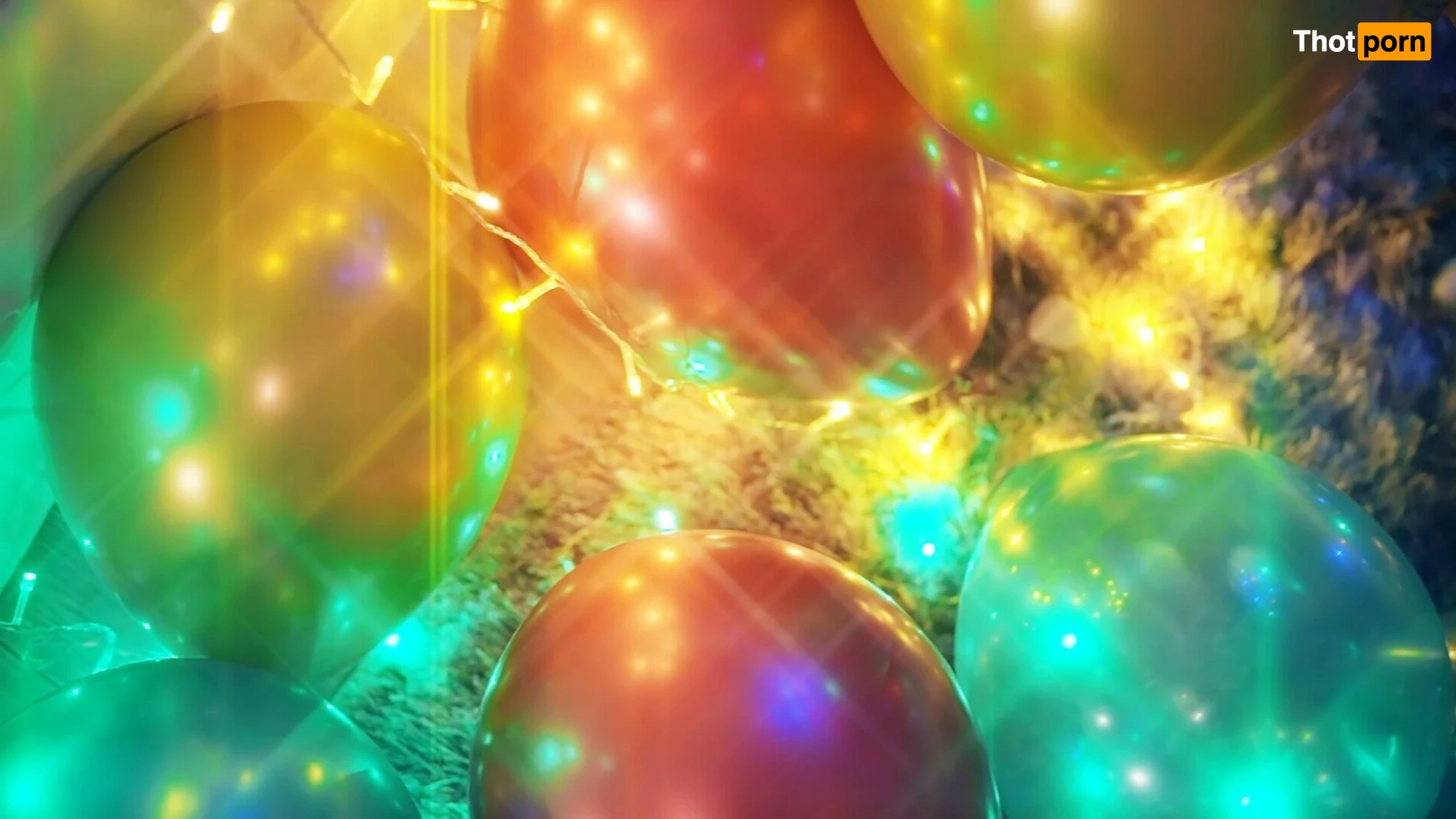 BDSM_celloX 15560157