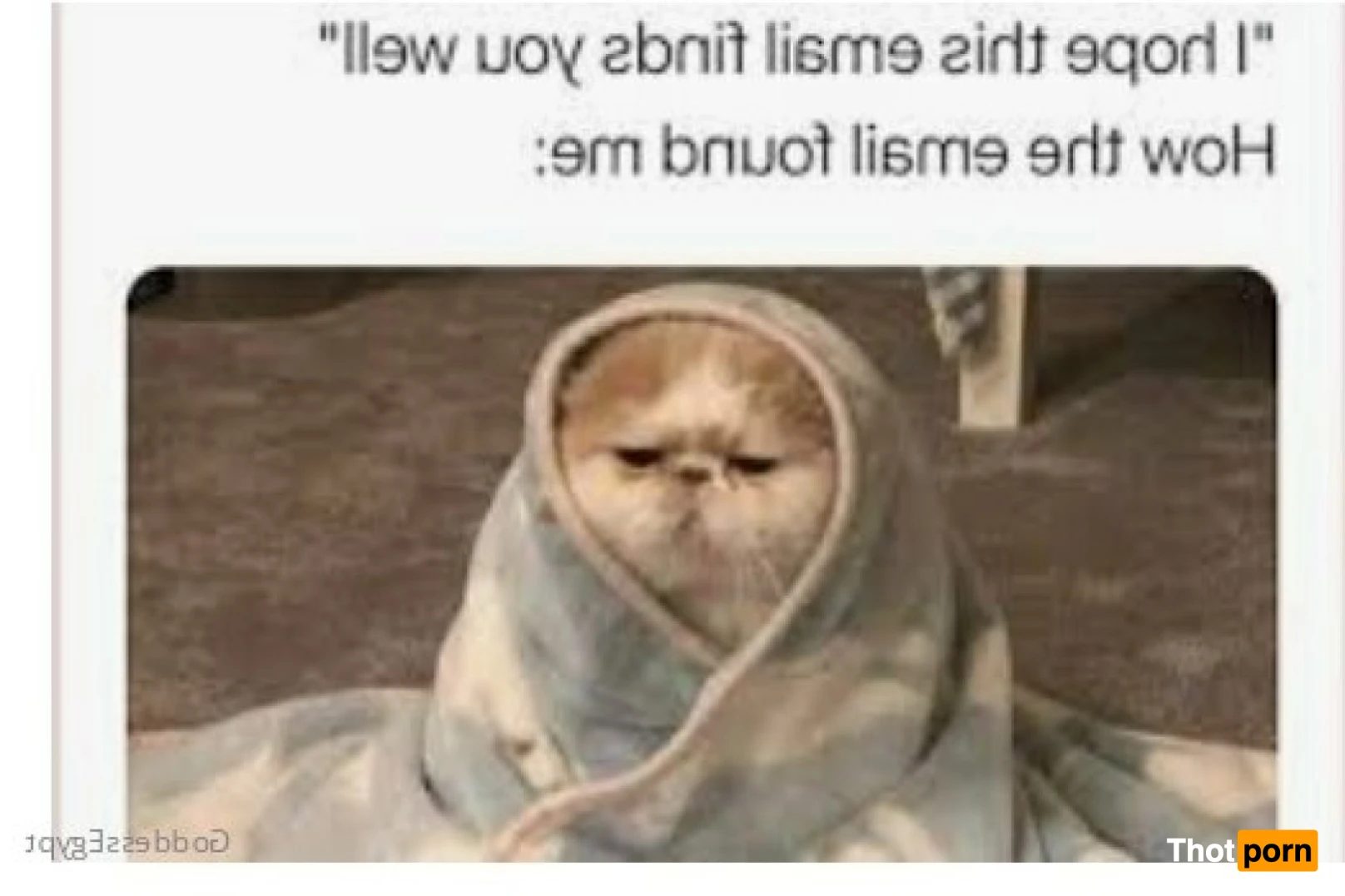 Goddess Egypt💎Single Message Me💍 15509008