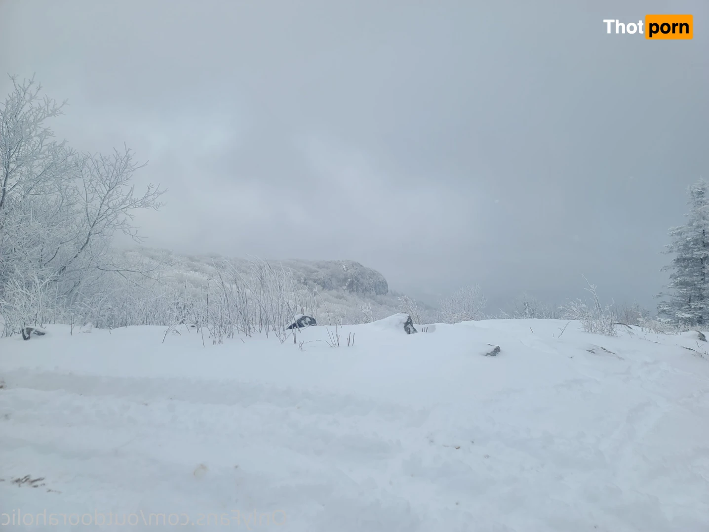 That mtn guy 15440876