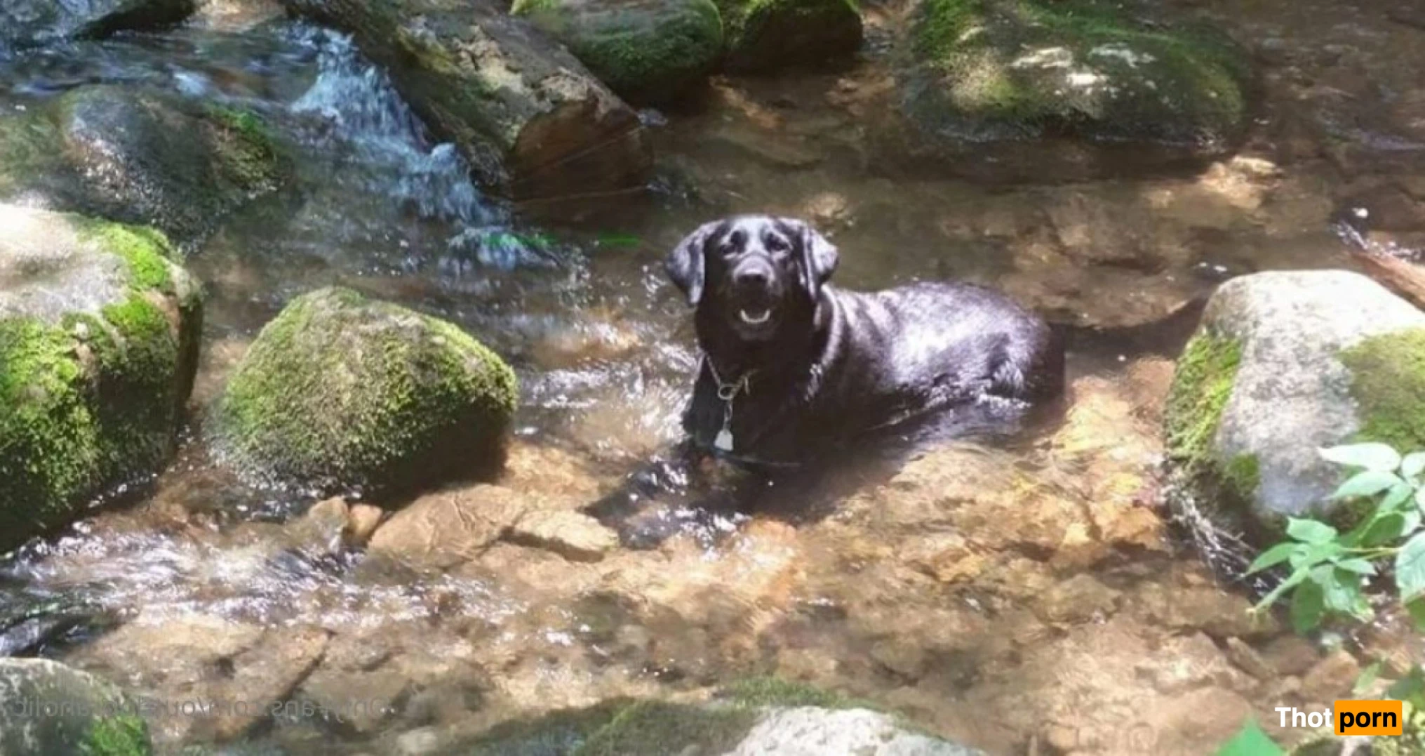 That mtn guy 15441468