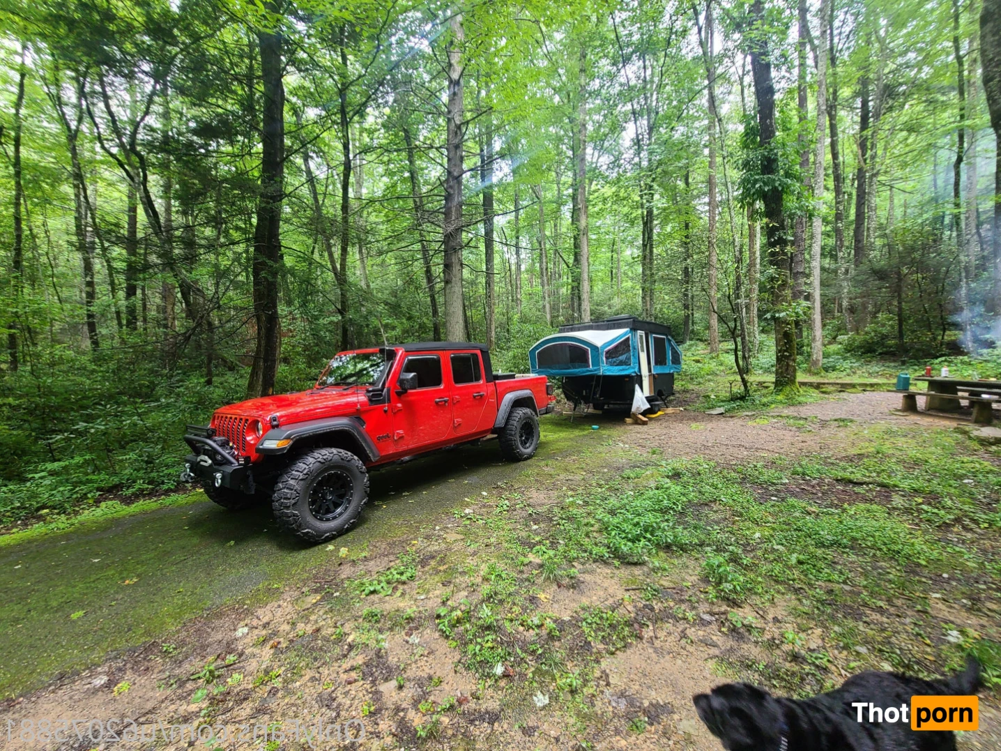 That mtn guy 15441541