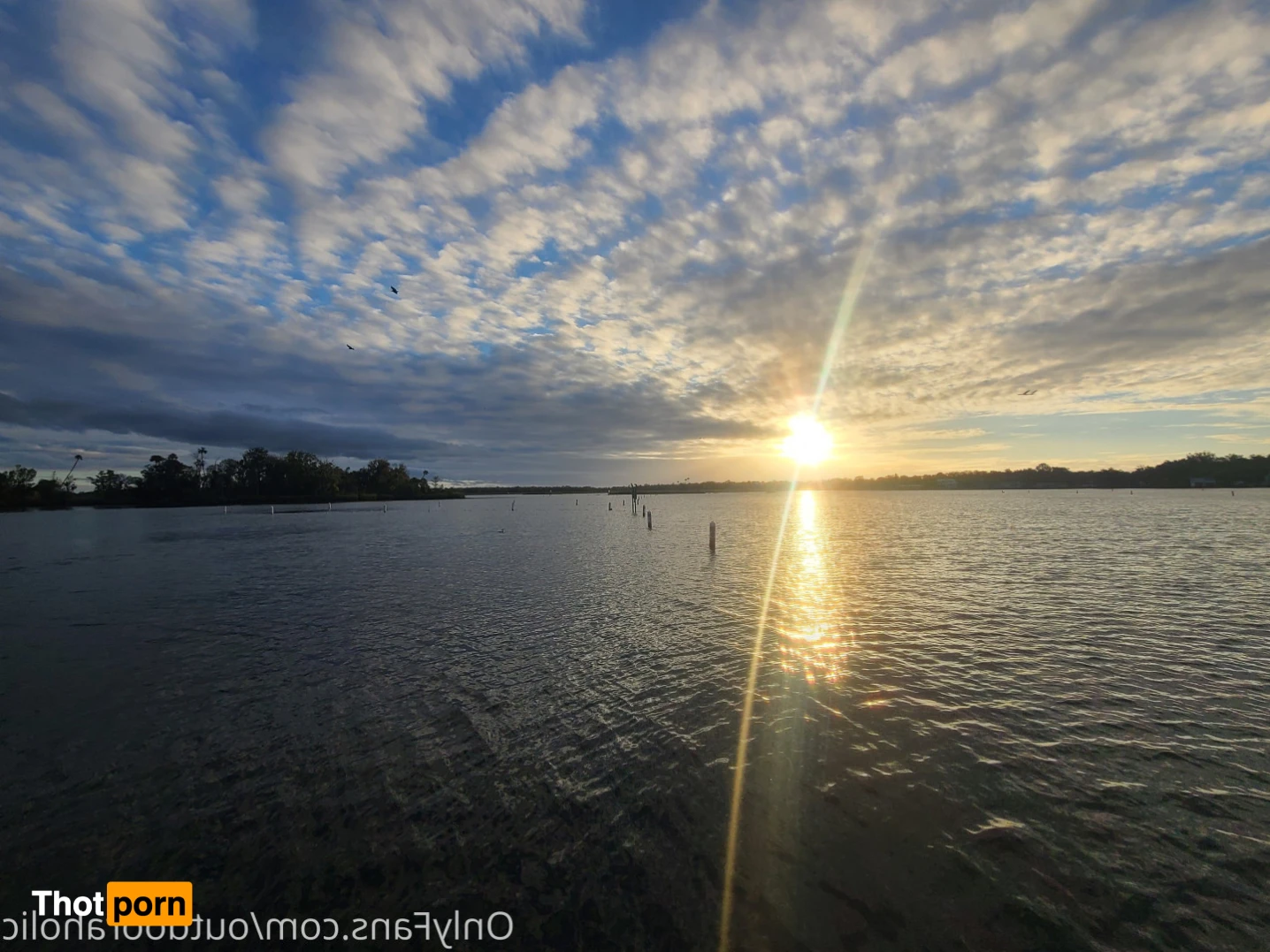 That mtn guy 15441757