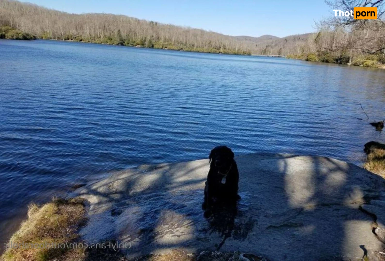 That mtn guy 15441787