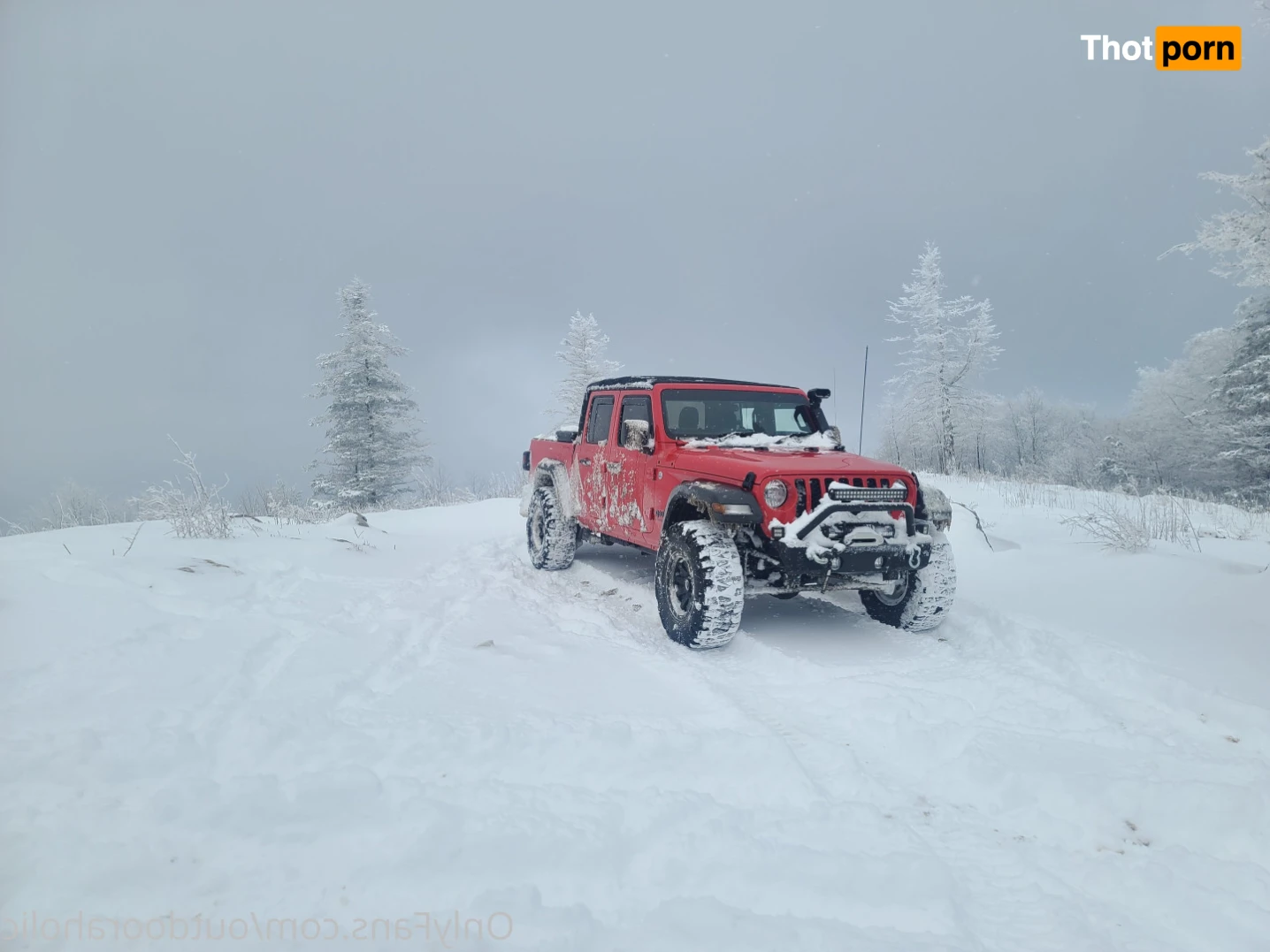 That mtn guy 15441825