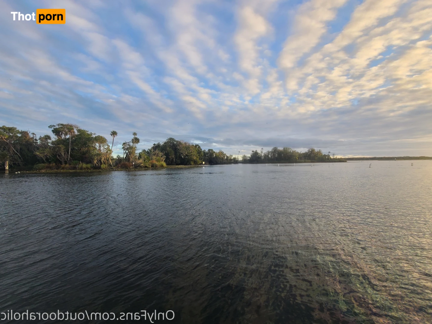 That mtn guy 15441852