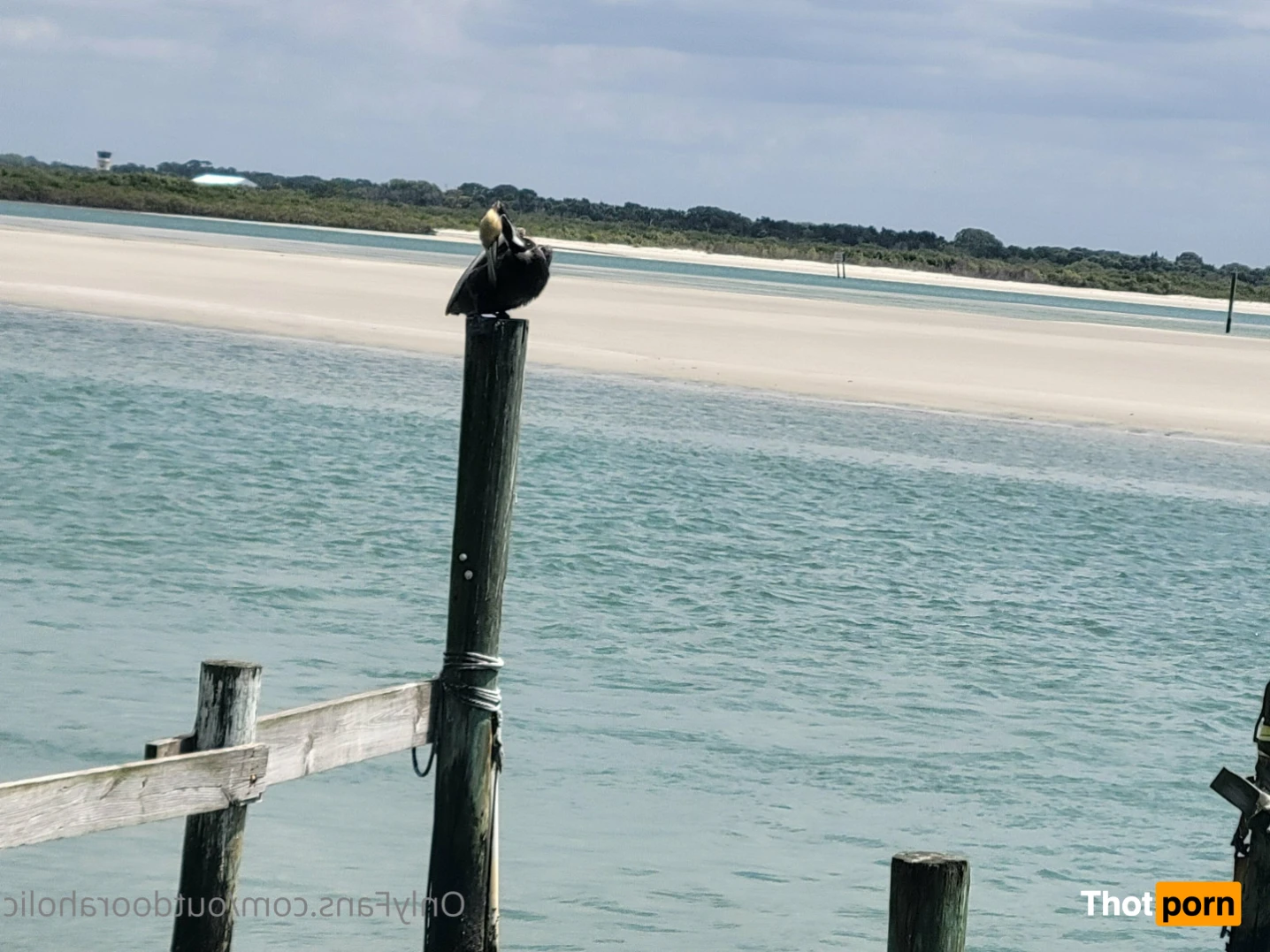 That mtn guy 15441892