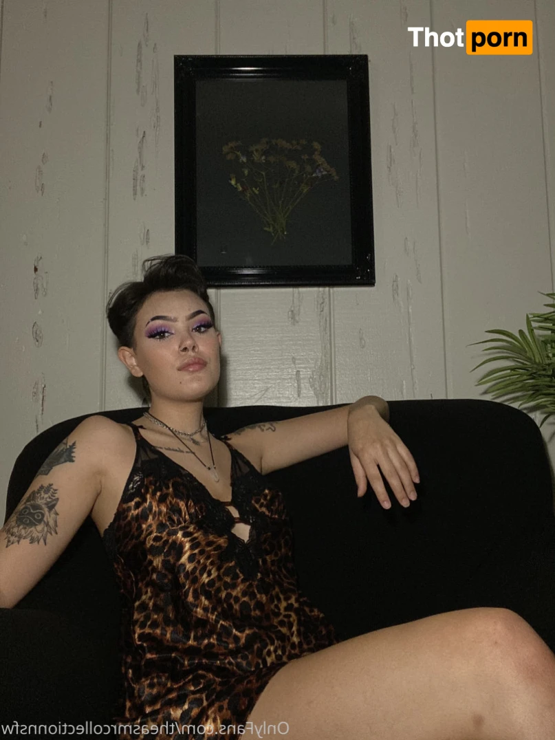 The ASMR Collection 15315247