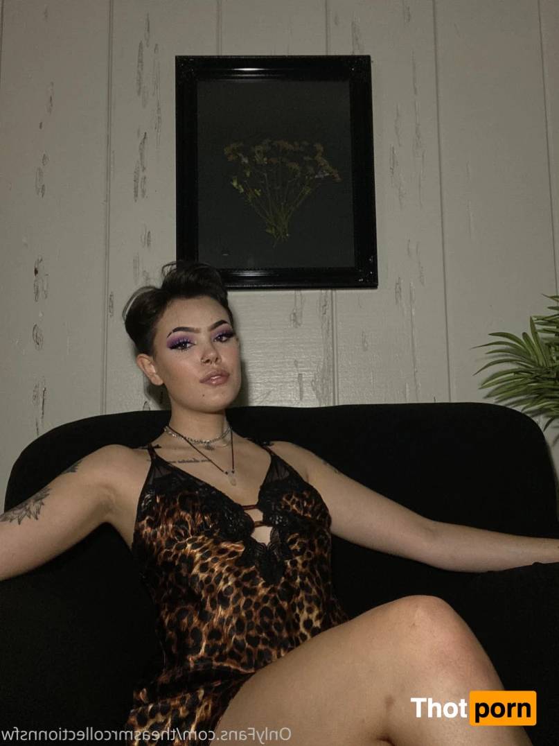 The ASMR Collection 15315774