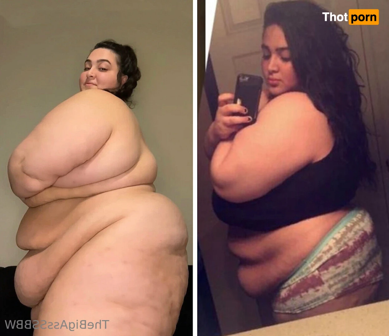 TheBigAssSSBBW 15287391