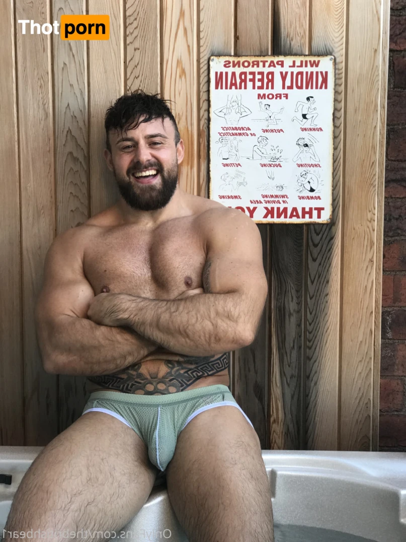 The british bear 15276539