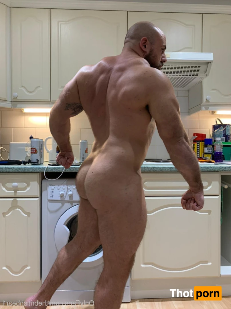 The british bear 15276653