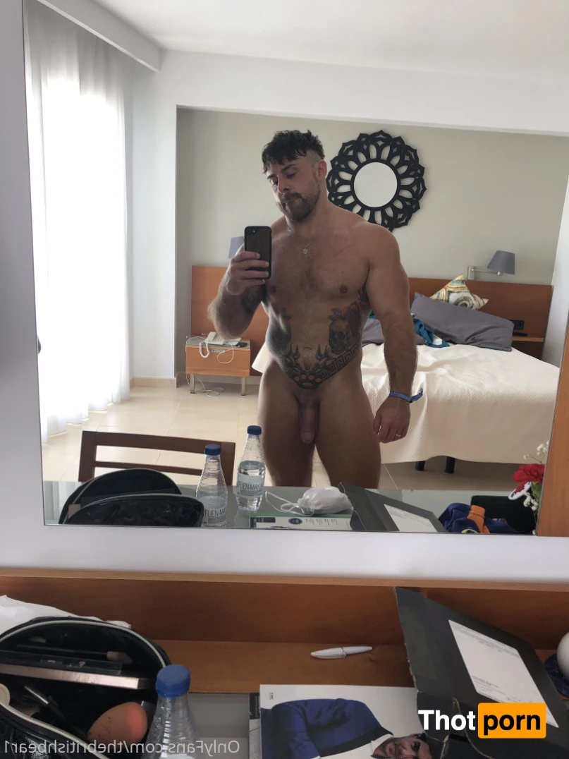 The british bear 15276679