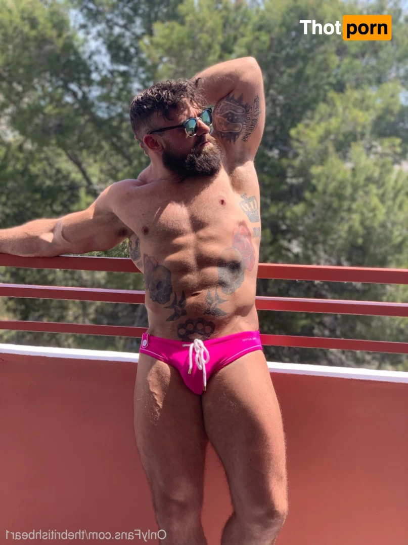 The british bear 15277256