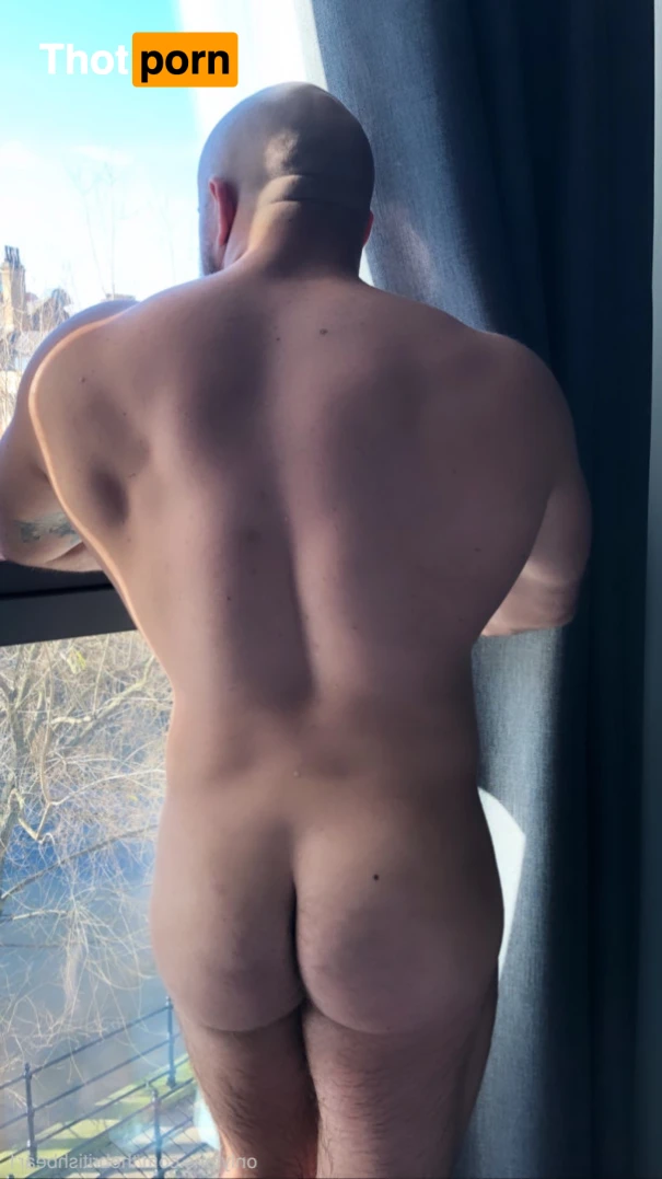 The british bear 15277285