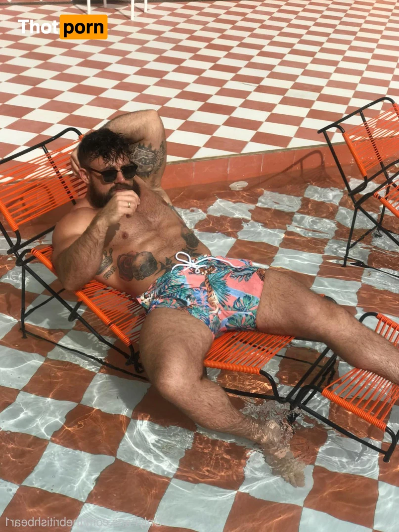 The british bear 15277356