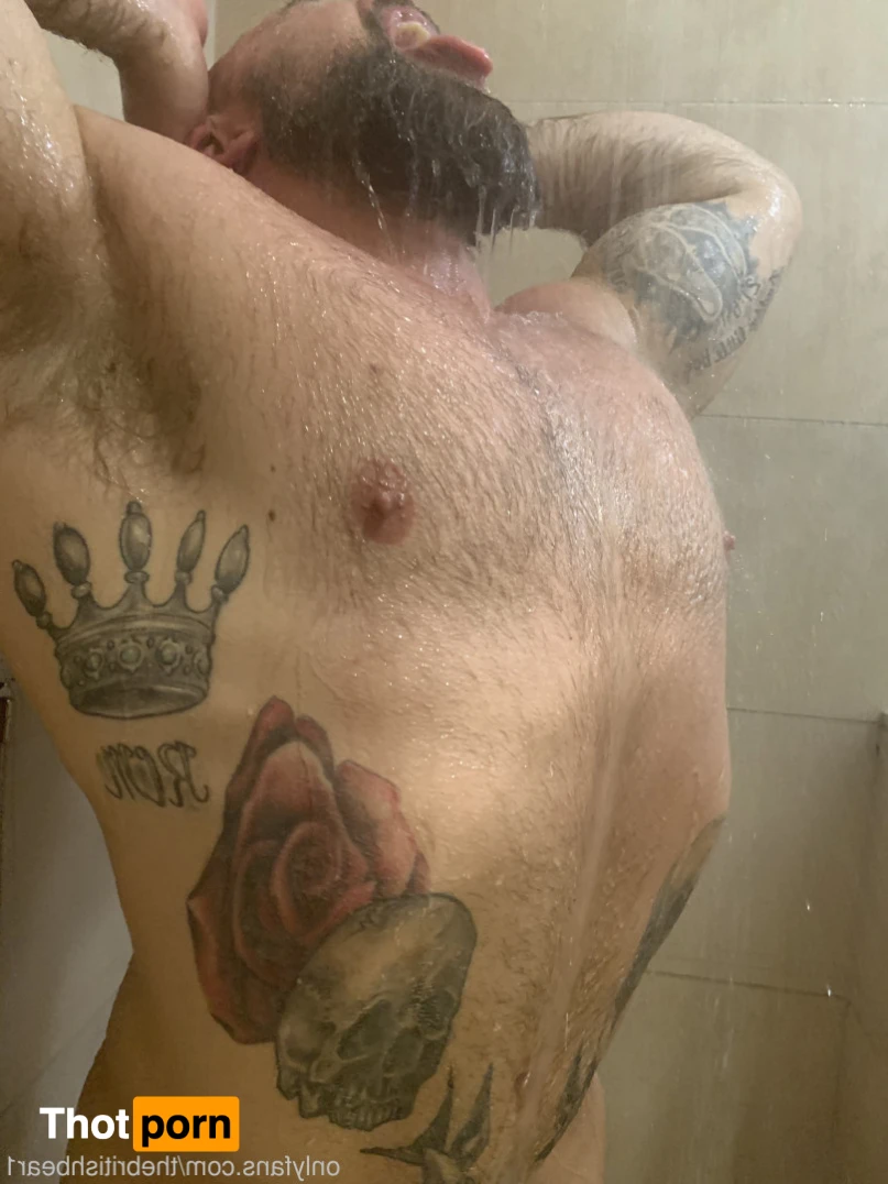 The british bear 15277552