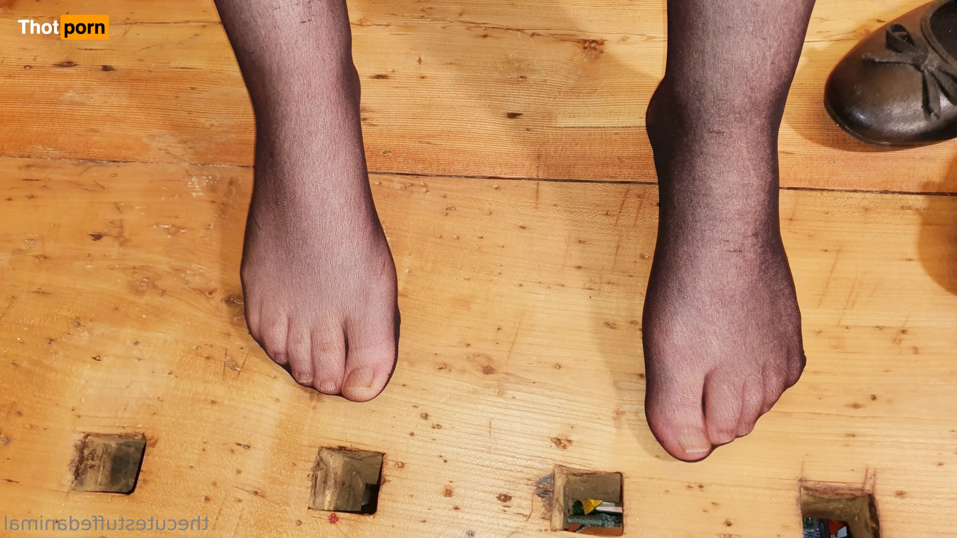 thecutestuffedanimal / bdsm, little, 20 15194598