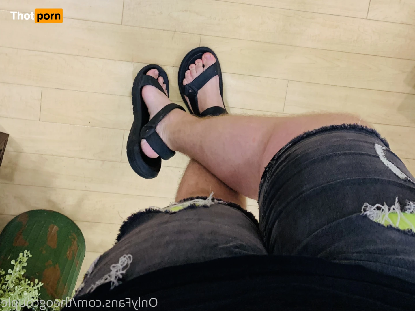 TheOgBenji-TheOGSammi 15018785