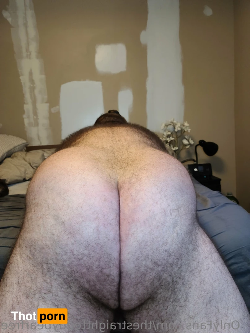 TheStraightBear 14798617