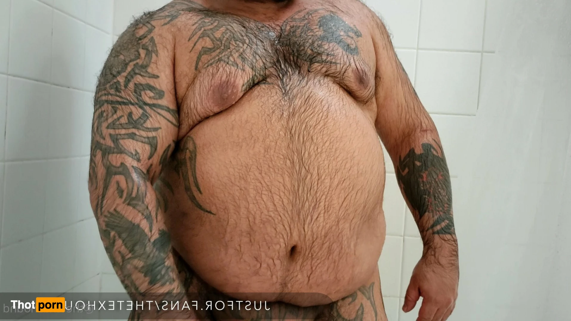 The Texas Hound 14782834