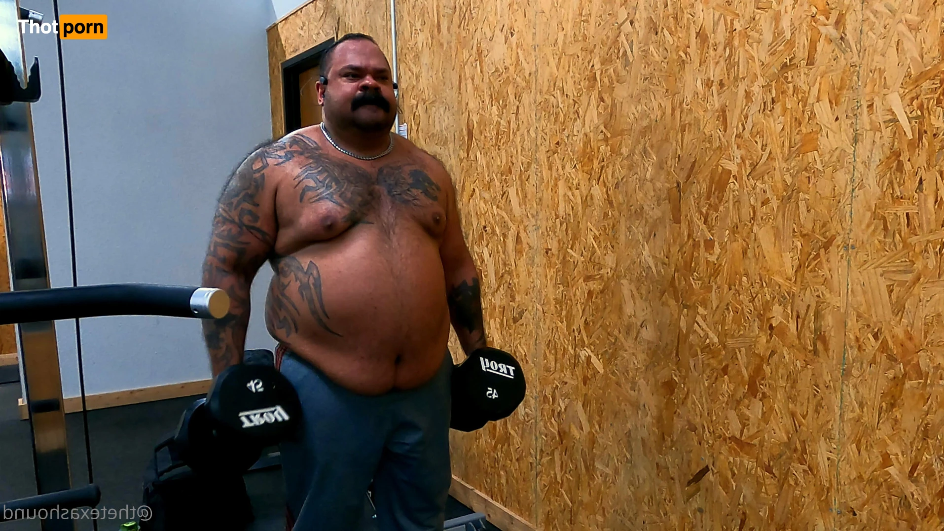 The Texas Hound 14783239