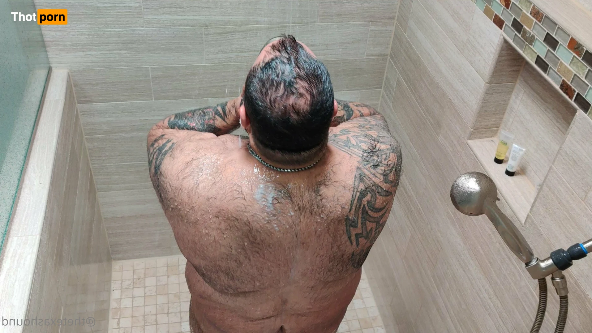 The Texas Hound 14783445