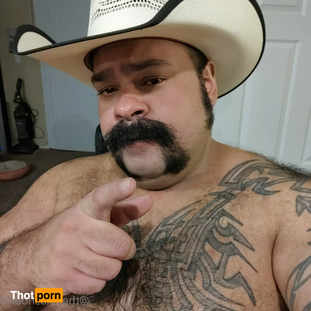 The Texas Hound 14784105