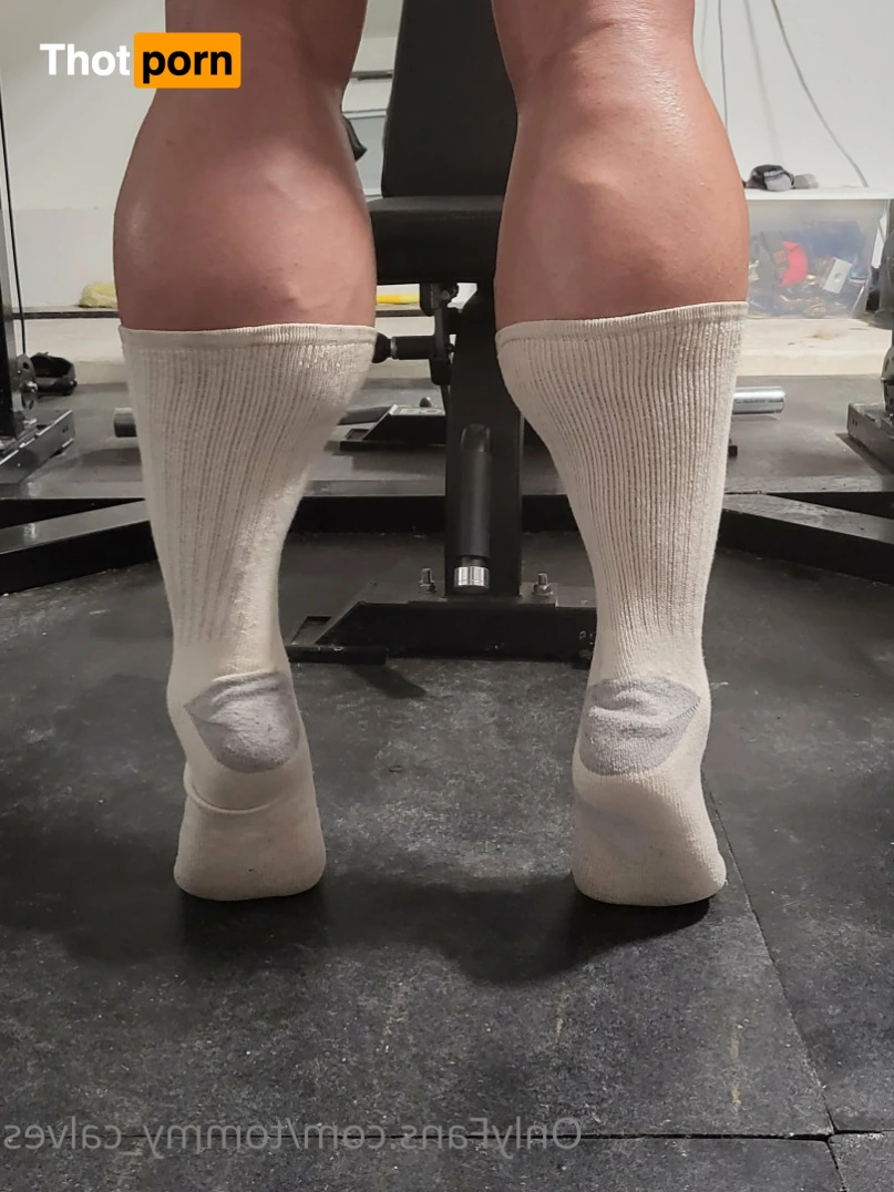 Tommy Calves 11232353