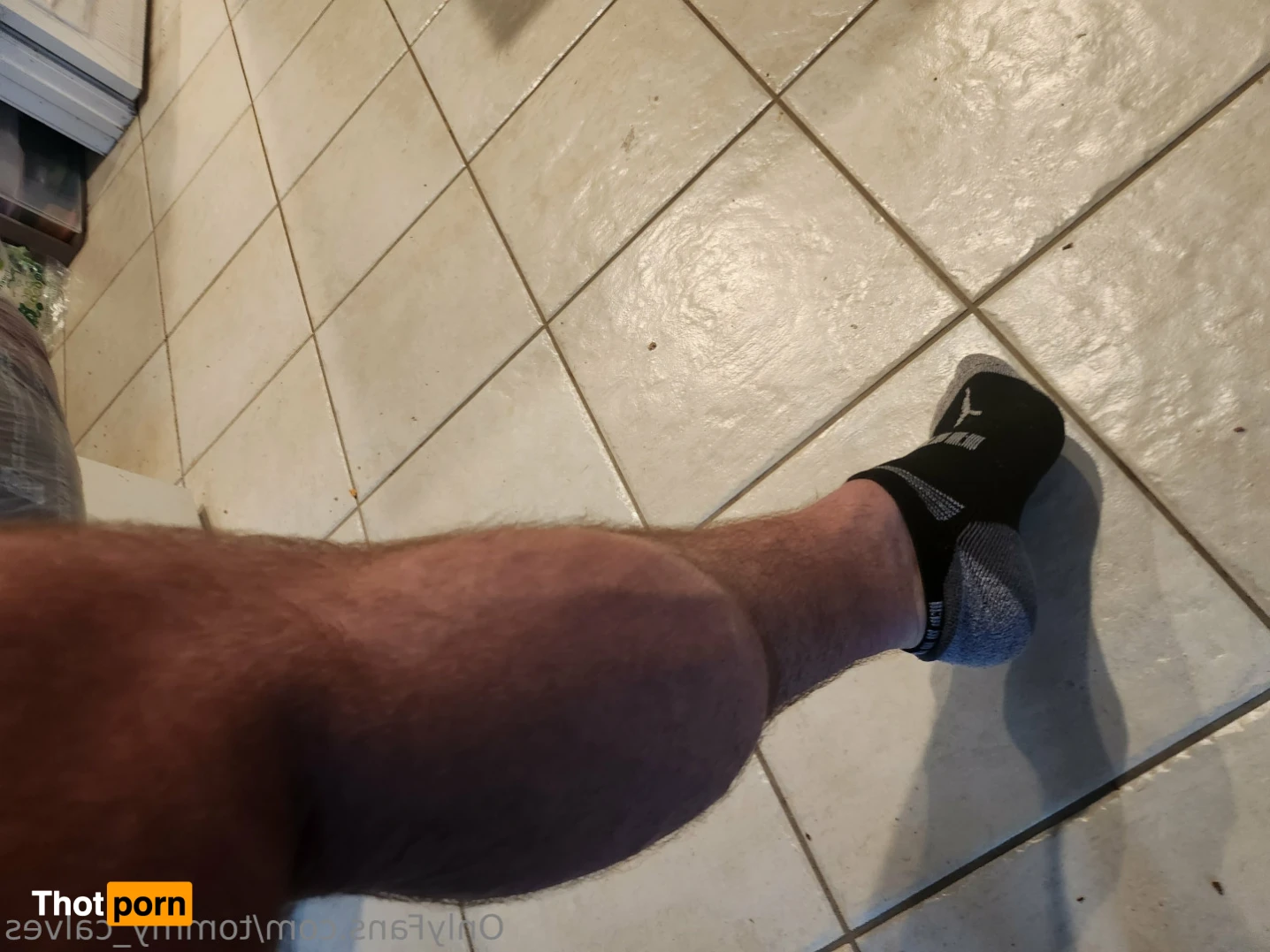 Tommy Calves 11236360