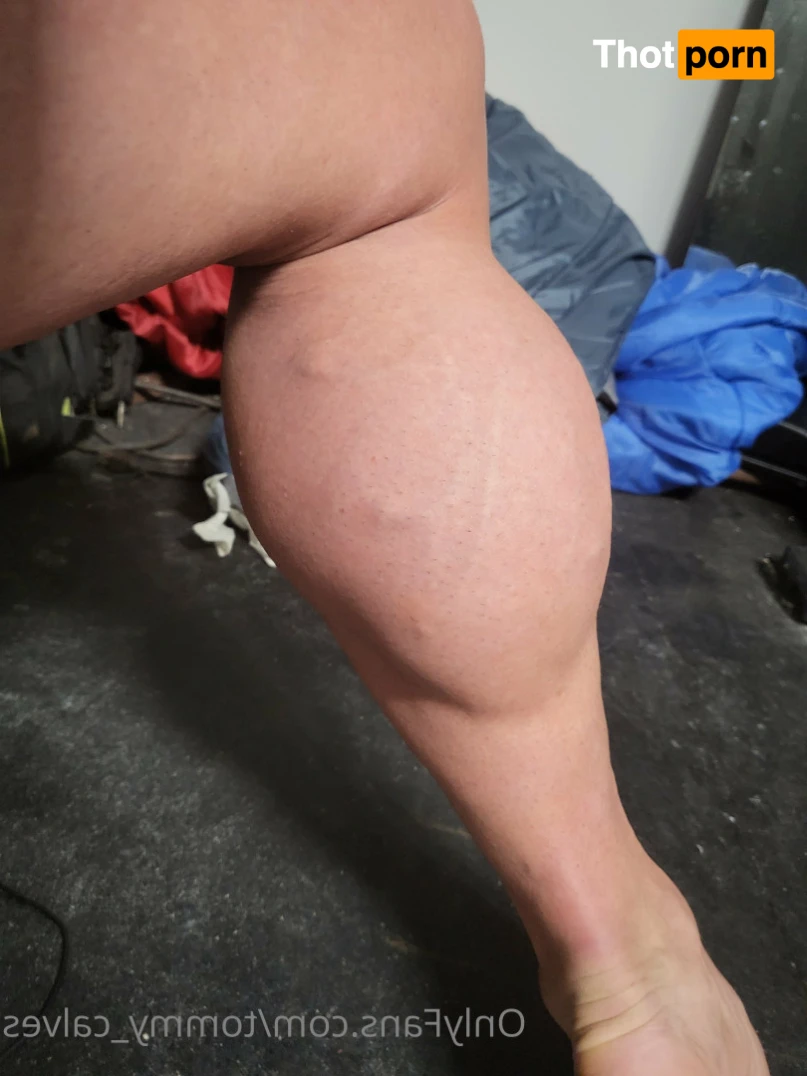 Tommy Calves 14403893