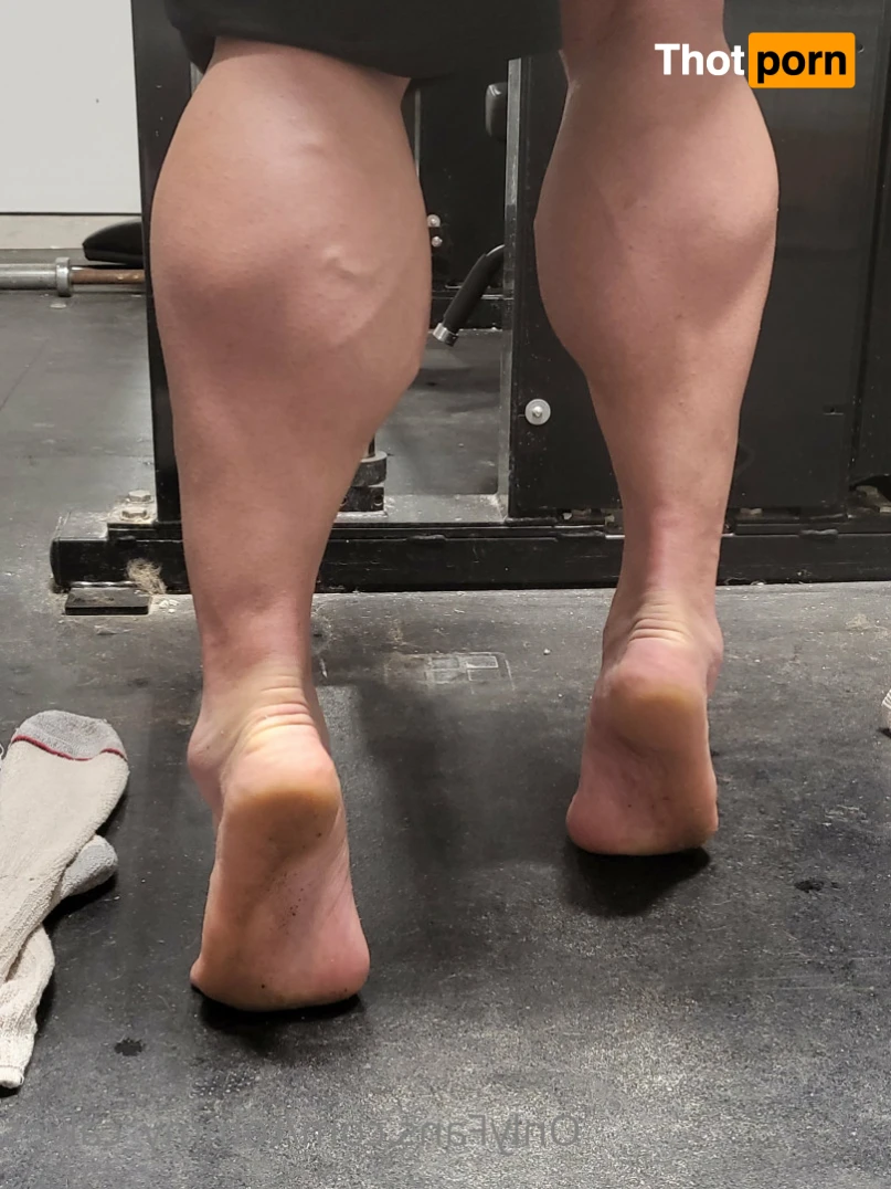 Tommy Calves 14404016