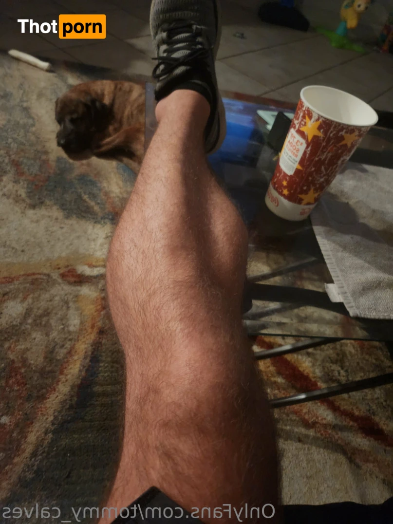 Tommy Calves 14404180