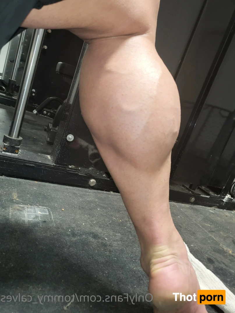 Tommy Calves 14404237