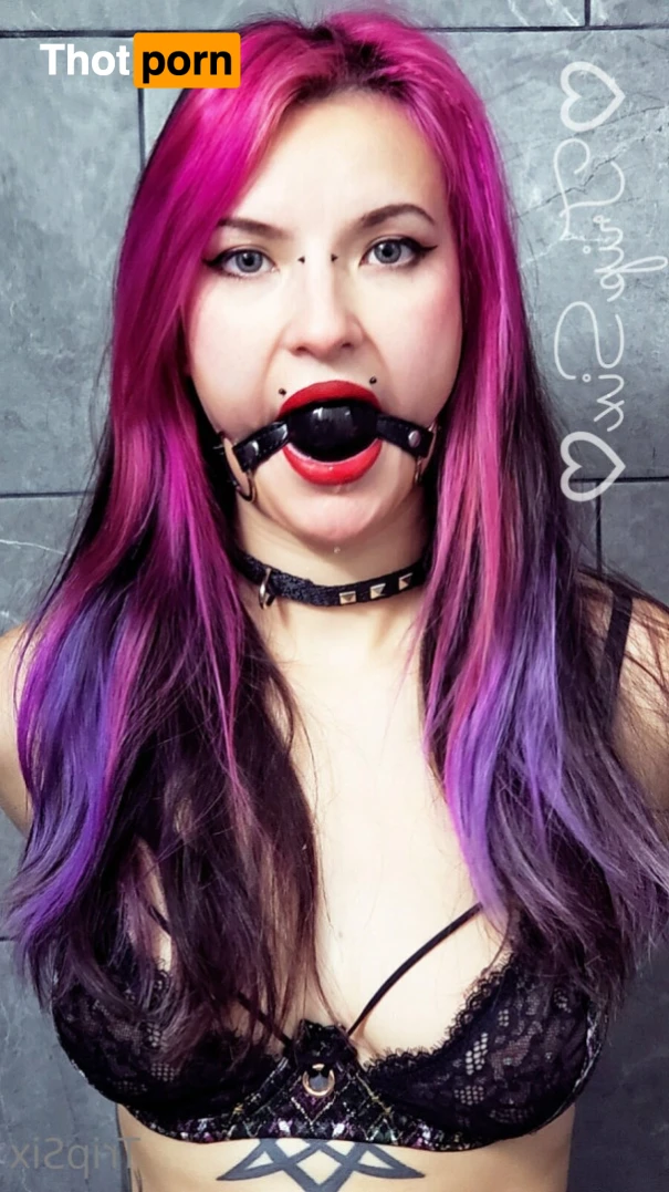 TripSix Clips 14338469