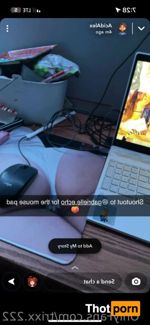 TriXXie baabby 🕷️ 14228935