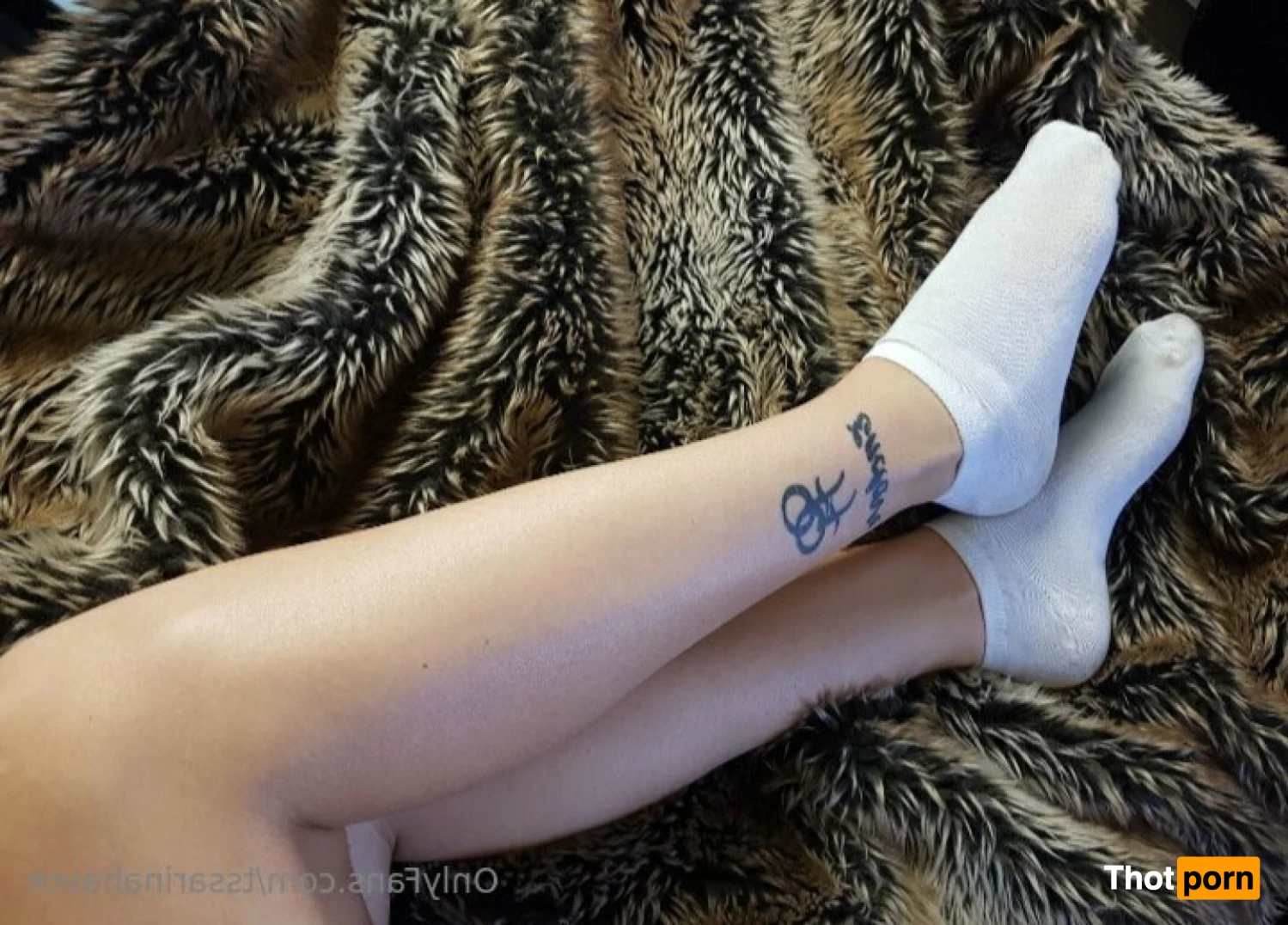 Sarina Havok 14193186