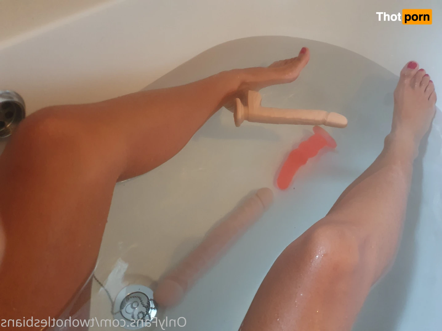 twohotlesbians 14146095