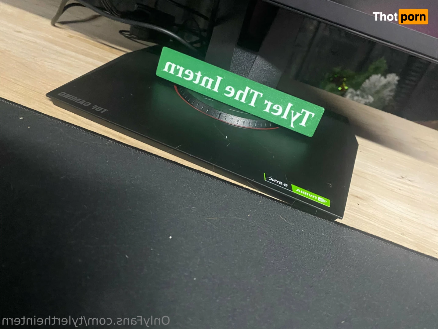 Tyler The Intern 14130322