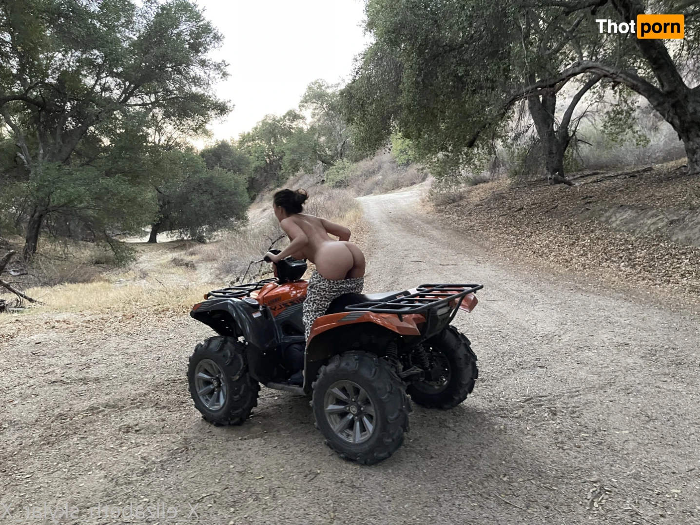 Elizabeth Skylar 14123890