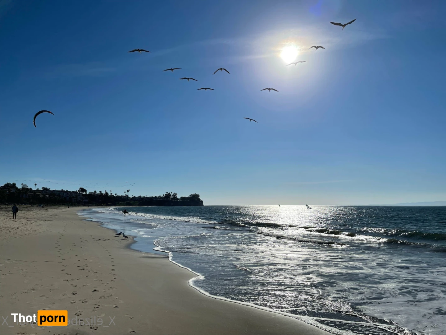 Elizabeth Skylar 14125183