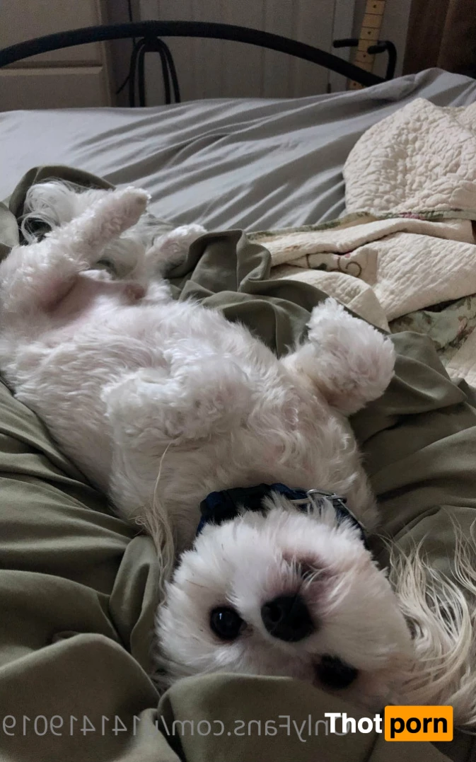 Southern Mature Woman 14102294