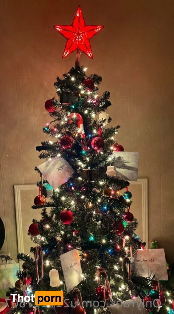 Dumpling_Bunz 14094100