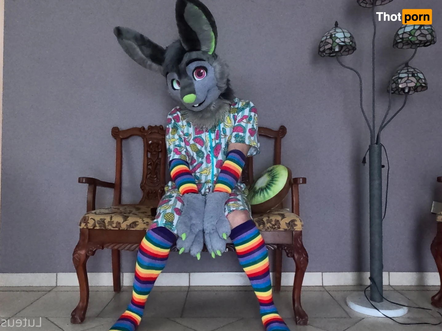 Luteus_free 14065891