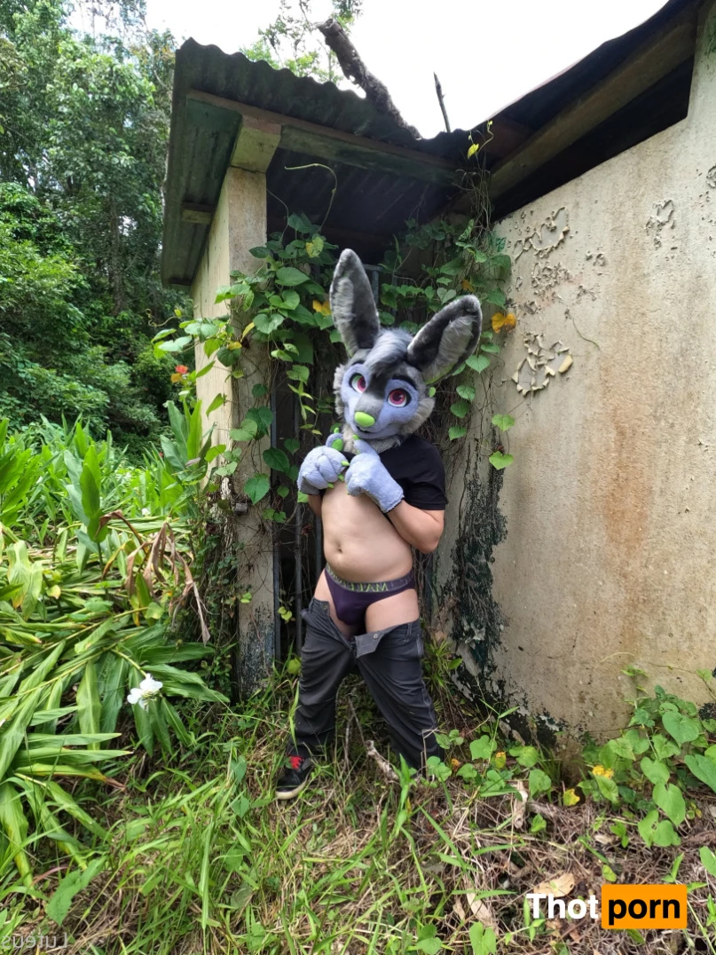 Luteus_free 14066136