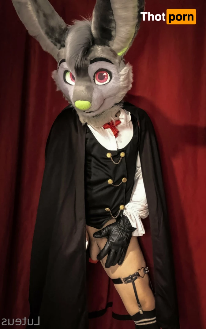 Luteus_free 14066247