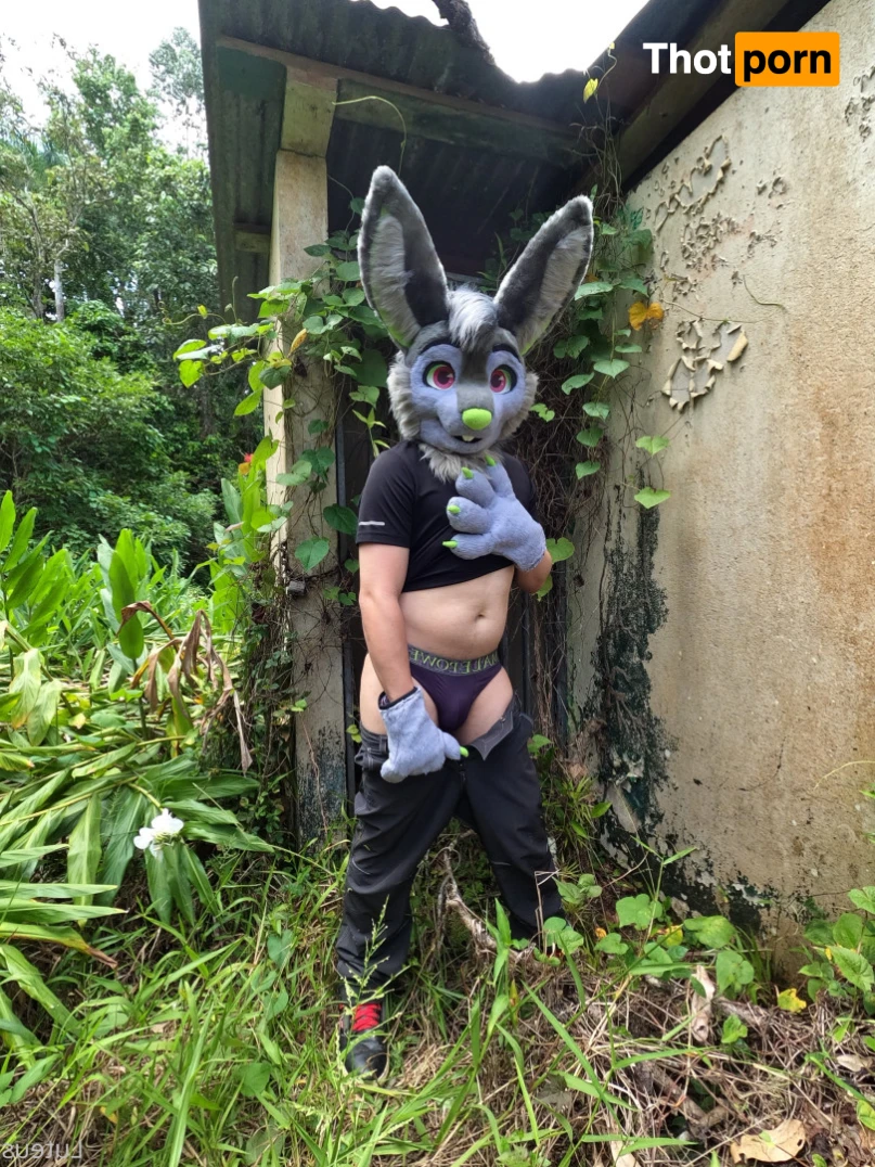 Luteus_free 14066439